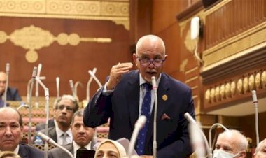 النائب حازم الجندى: قمة مصر وتركيا تدشين لمرحلة «التحالفات الاستراتيجية الواعية»