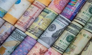 أسعار العملات في مصر اليوم الجمعة