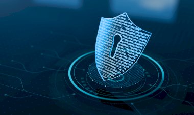 المحكمة الاقتصادية تعاقب عصابة للجرائم السيبرانية مصنفة ضمن الـ5 الأخطر عالميا