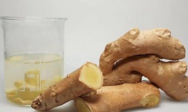 الزنجبيل وصحة القلب.. ماذا يحدث عند تناوله؟