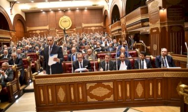 وكيل الشيوخ يطالب بخطة قومية للكشف المبكر عن الأورام