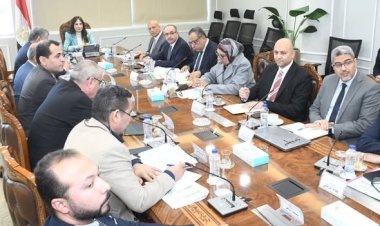 وزيرة الإسكان تتابع موقف تنفيذ المشروعات ضمن مبادرة "حياة كريمة " بعددٍ من المحافظات