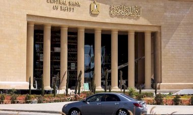 مليون خدمة غير مالية واستشارية قدمتها مراكز خدمات تطوير الأعمال تحت رعاية البنك المركزي المصري