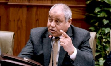 برلماني: الرسوم الأميركية الجديدة تتطلب تحركا لحماية مستهدفات الصادرات المصرية