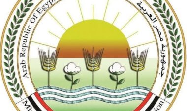 "الزراعة" تستعرض جهود حماية الثروة الداجنة في مصر.. وترد على شائعات "النفوق غير الطبيعي"