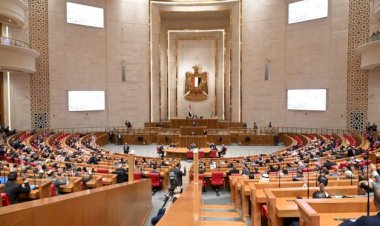 طاقة النواب تستمع لوزيري الكهرباء والبيئة وتبحث قرار الانضام للشرق الأوسط الأخضر