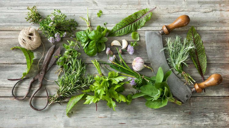 5 أعشاب طبيعية تساعد على خفض الكوليسترول الضار