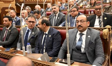 عضو بالشيوخ: نرفض أي اعتداء يمس سيادة الدول العربية