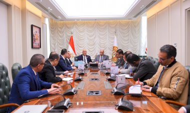 وزير العمل يلتقي الرئيس التنفيذي لجهاز تنمية المشروعات المتوسطة والصغيرة ومتناهية الصغر