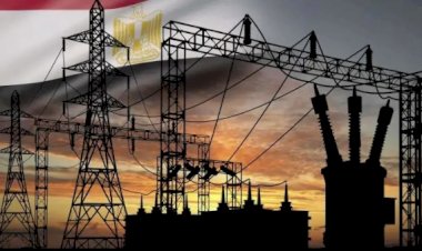 نائب الشيوخ: ما تحقق في ملف الطاقة يؤكد جاهزية الدولة.. والتخطيط المبكر أنقذنا من سيناريوهات صعبة