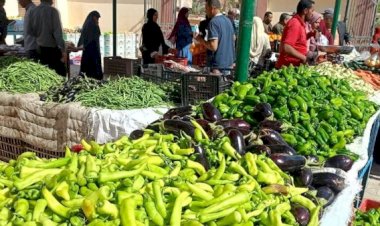 أسعار الخضار والفاكهة في مصر اليوم الثلاثاء