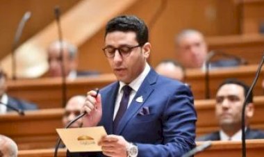 برلمانى: الالتفاف خلف القيادة يعزز دور مصر المحورى فى إدارة الأزمات الإقليمية