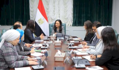 وزيرة التضامن الاجتماعي تلتقي الممثلة المقيمة لبرنامج الأمم المتحدة الإنمائي في مصر