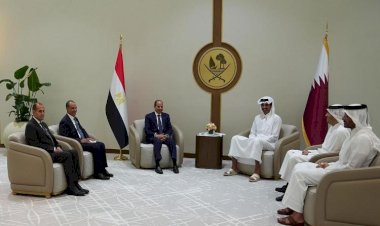 التنسيقية تثمن تحركات الرئيس السيسي لتعزيز التضامن العربي وترسيخ الأمن القومي المشترك
