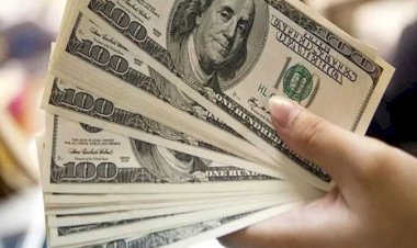 أسعار الدولار في مصر اليوم السبت