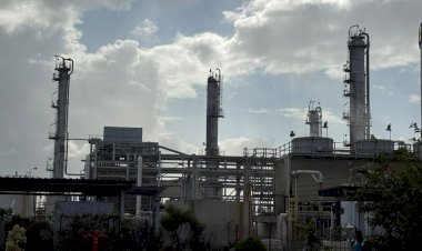 وزيرة التنمية: الانتهاء من الربط الإلكتروني لمنظومة الرصد الذاتي بمداخن شركة “إيلاب” في الإسكندرية