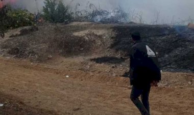 السيطرة على حريق أشجار بأرض فضاء فى الشروق دون إصابات