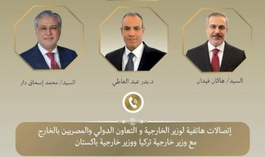 وزير الخارجية يبحث مع نظيريه الباكستاني والتركي التطورات الإقليمية وجهود خفض التصعيد