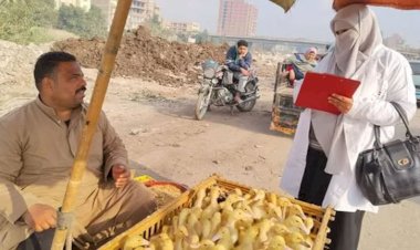 الزراعة: فحص أكثر من 555 ألف طائر و180 ألف رأس ماشية خلال فبراير