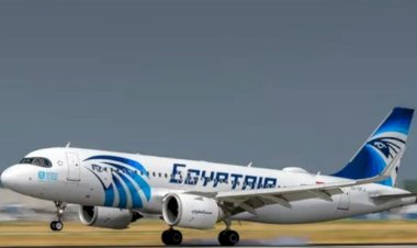 النيابة توجه تهمة تقليد علامة مصر للطيران لمنتج أحد الأعمال السينمائية