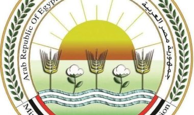 "الزراعة" تطلق الحملة القومية الأولى لعام 2026 للتحصين ضد الجلد العقدي في الأبقار وجدري الأغنام لمدة شهر