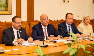 نائب وزير الخارجية تبحث مع الرئيس التنفيذي لجهاز تنمية المشروعات تعزيز دعم المشروعات الصغيرة وريادة الأعمال