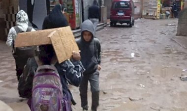 رسميًا.. تعليق الدراسة في القليوبية والجيزة بسبب سوء الأحوال الجوية