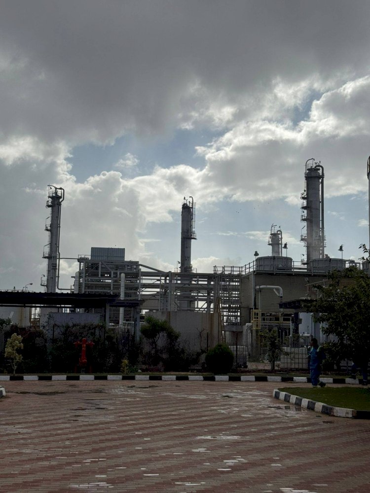 وزيرة التنمية: الانتهاء من الربط الإلكتروني لمنظومة الرصد الذاتي بمداخن شركة “إيلاب” في الإسكندرية