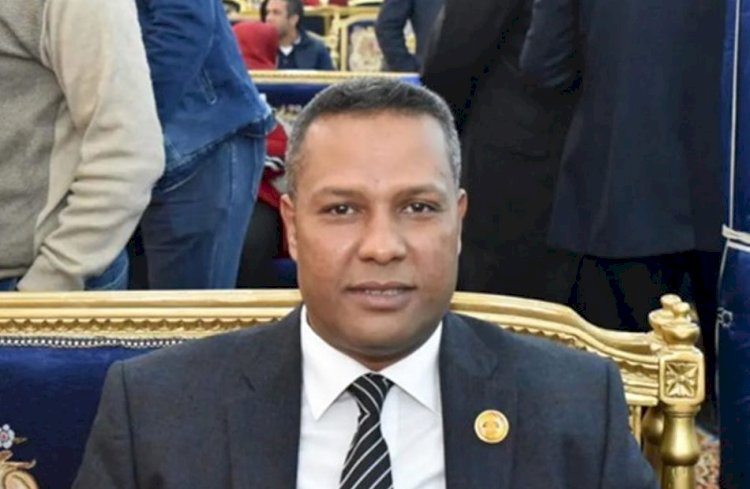 نائب: مصر لن تسمح بتهديد استقرار الخليج.. وتحركات الرئيس السيسي تعكس قيادة واعية