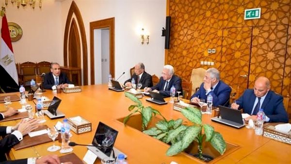 وزير الخارجية يلتقى مع مجموعة من السفراء المتقاعدين ويبحث محددات الموقف المصرى