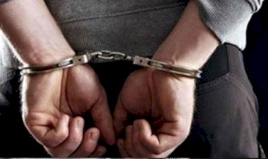 محاكمة عامل وتاجر أنهيا حياة صديقهما وقطعا كف يده بسيف في الإسكندرية