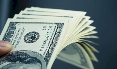 أسعار الدولار في مصر اليوم الإثنين