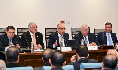 مصر تستهدف زراعة مليون فدان أرز لتحقيق الاكتفاء الذاتي وسط تحديات المياه