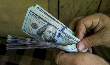 أسعار الدولار في مصر اليوم الاربعاء