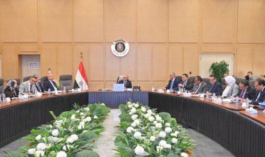 وزير الاستثمار: توجيه بدراسة الفرص الأكثر قابلية للتنفيذ وتأكيد استمرارية التعاون مع الجانب الكوري