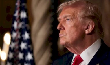 البيت الأبيض: ترامب يدرس سحب بعض القوات الأمريكية من أوروبا