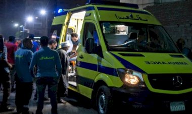 مصرع شخص وإصابة حفيدته بالدقهلية