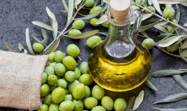 فوائد تناول زيت الزيتون على الريق، يقوي المناعة ويحسن الهضم