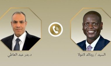 اتصال هاتفي بين وزير الخارجية ونظيره الجنوب أفريقي لبحث التطورات الإقليمية