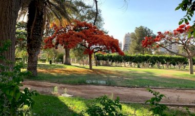 حديقة الميرلاند تمتلئ بالمحتفلين في شم النسيم.. هبة عصام مراسلة "إكسترا نيوز" تنقل الصورة