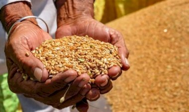 وزير الخارجية يبحث مع الممثلة العليا للشئون الخارجية للاتحاد الأوروبي الجهود الاقليمية لخفض التصعيد