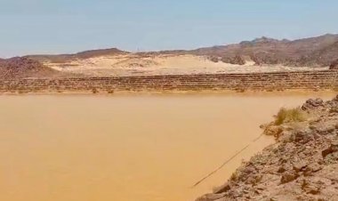 وزير الري يتابع موقف الأمطار الغزيرة والسيول التي تعرضت لها محافظة جنوب سيناء