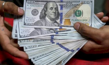 أسعار الدولار في مصر اليوم السبت