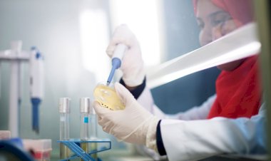 "الزراعة: رفع القدرة الاستيعابية لـ 'المركزي لمتبقيات المبيدات' إلى 400 ألف عينة سنويًا لدعم المصدرين"