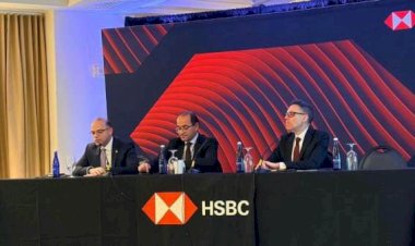 وزير الاستثمار يجري حوار مفتوح مع قيادات HSBC وبنك التسوية الدولي BIS لتعزيز الرقابة والترويج للاستثمار والرقمنة
