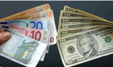 أسعار العملات في مصر اليوم الأحد