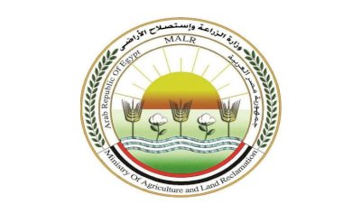 "الزراعة" تعلن تحصين أكثر من 3 مليون رأس ماشية ضمن الحملة القومية ضد الجلد العقدي وجدري الأغنام حتى الآن