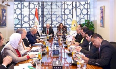 وزيرة التنمية تتابع مع محافظ الفيوم الموقف التنفيذي لخطة إعادة التوازن البيئي ببحيرة قارون