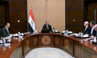 رئيس الوزراء يلتقي الرئيس التنفيذي لشركة "فاليو" الفرنسية