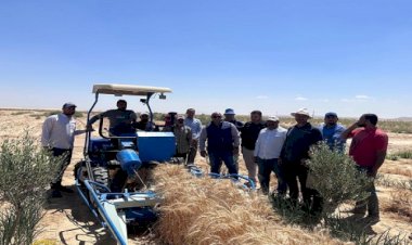 وزير الزراعة يستعرض حصاد عام من "جهود التنمية الزراعية" في سيناء